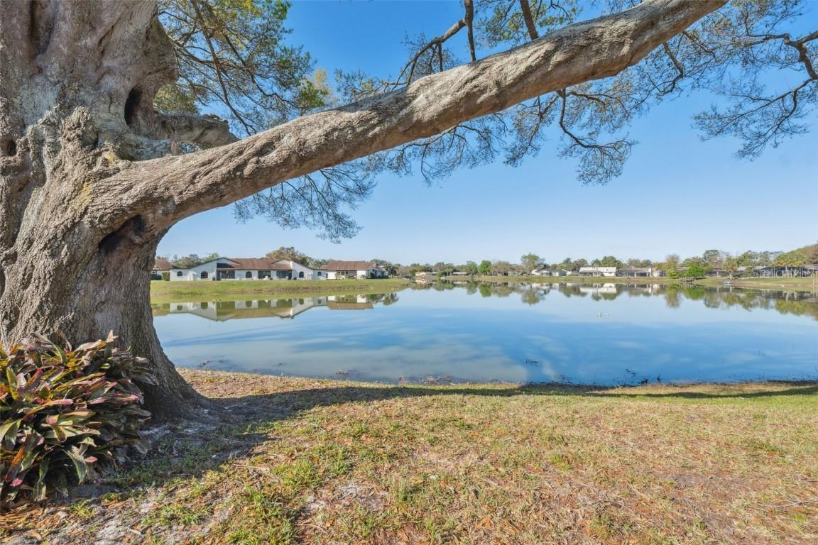 7414 Heather Walk Dr., Weeki Wachee, FL 34613