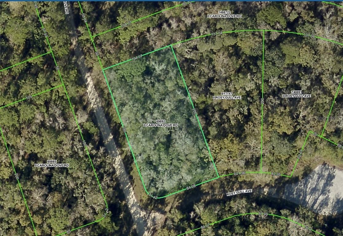 Lot 1 Carolina Dove Rd., Brooksville, FL 34614