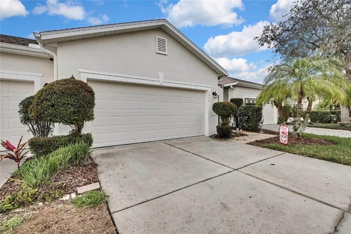 7343 Cleopatra Dr., Land O Lakes, FL 34637