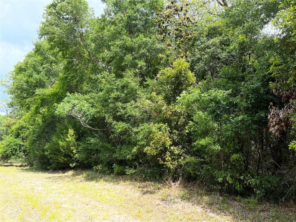 NW 70th Cir., Chiefland, FL 32626