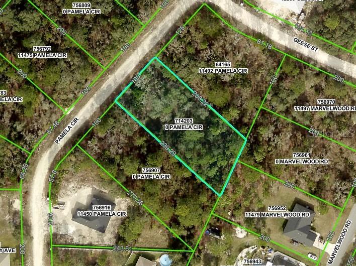Pamela Cir., Brooksville, FL 34614