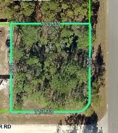 Downy Woodpecker Rd., Weeki Wachee, FL 34614