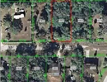 Edith St., New Port Richey, FL 34652