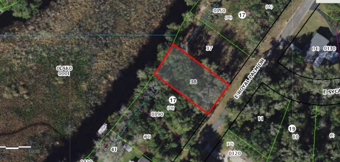 9113 E Royal Palm Dr., Inverness, FL 34450
