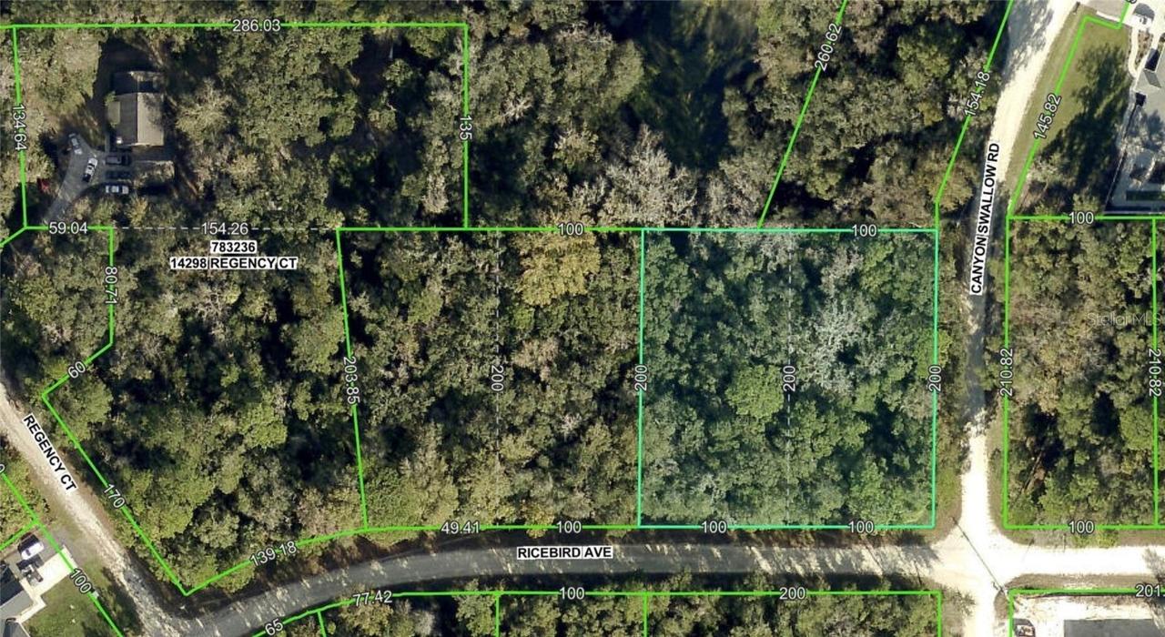 Ricebird (lot 10 & 11) Ave., Brooksville, FL 34614