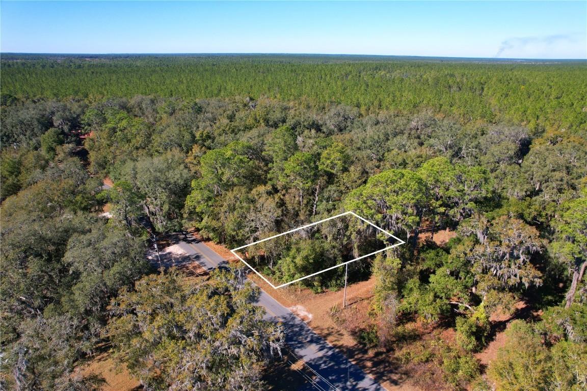 00 Hillcrest Dr., Florahome, FL 32140
