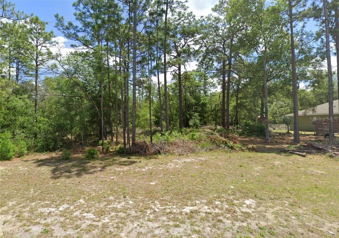 9771 N Mitchelle Dr., Citrus Springs, FL 34434