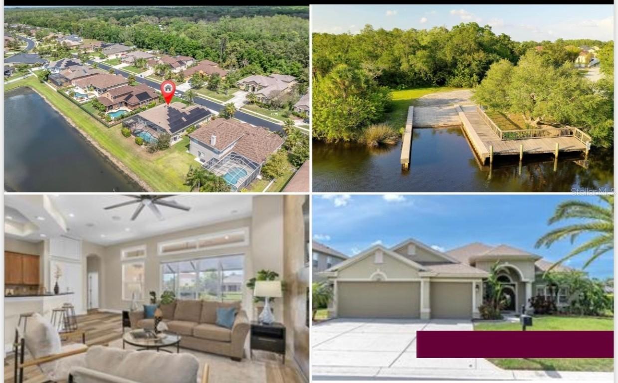 1709 Nodding Thistle Dr., Trinity, FL 34655