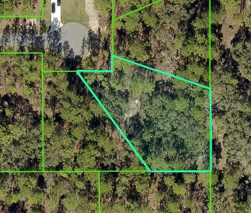 11342 Telephone Rd., Weeki Wachee, FL 34614