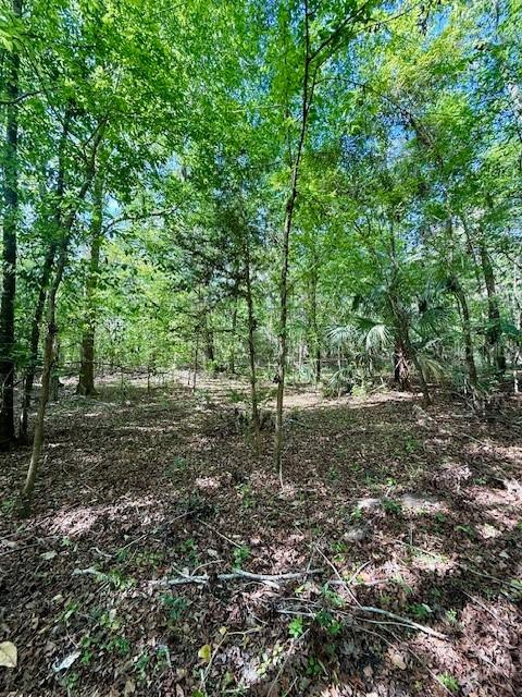 14037 Old Crystal River Rd., Brooksville, FL 34601