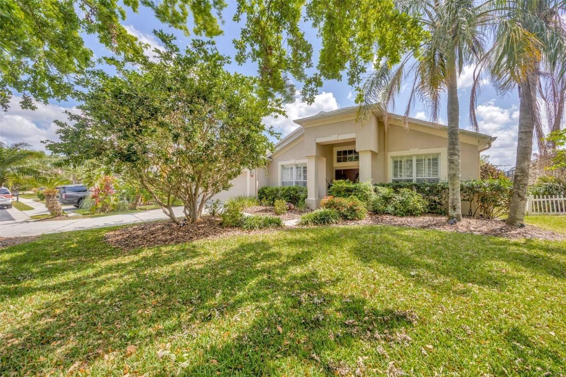 1905 Firefern Ct., Trinity, FL 34655
