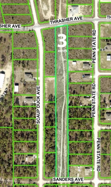 Thrasher  Power Lines Ave., Brooksville, FL 34614