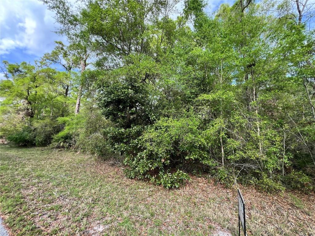 NW 74th Ct. #111, Chiefland, FL 32626