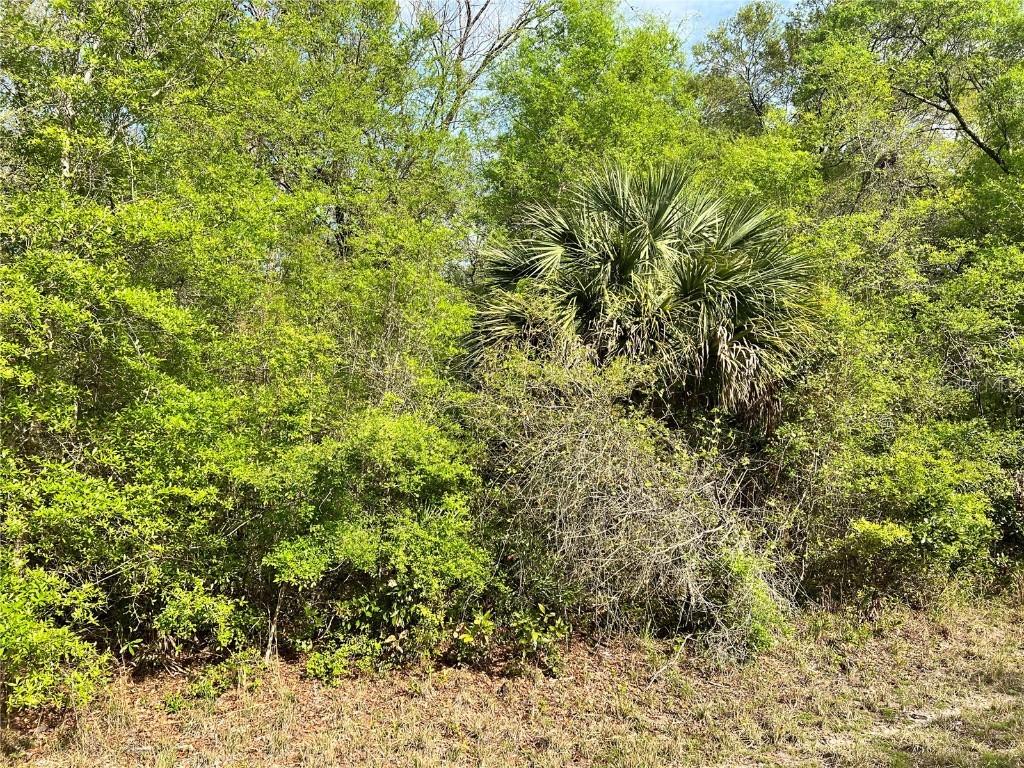 NW 74th Ct. #112, Chiefland, FL 32626