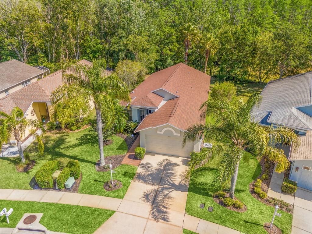1013 Sweet Jasmine Dr., Trinity, FL 34655