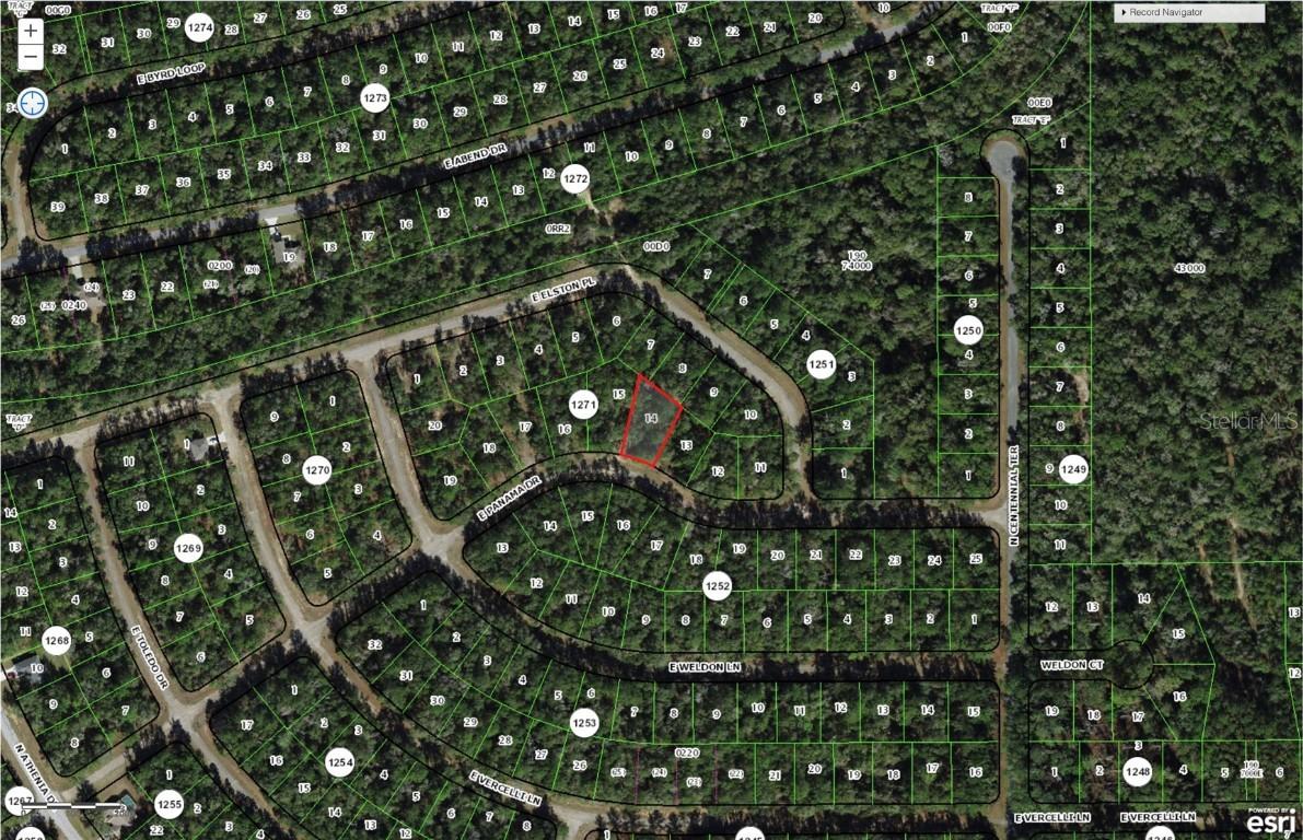 837 E Panama Dr., Citrus Springs, FL 34434