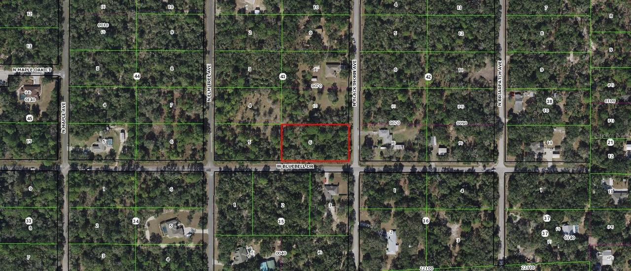8352 N Blackthorn Ave., Crystal River, FL 34428