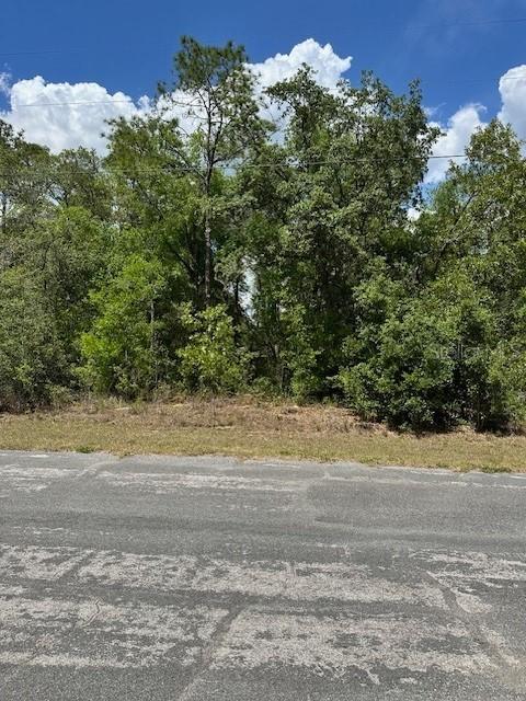 2235 W Summer Pl., Citrus Springs, FL 34434
