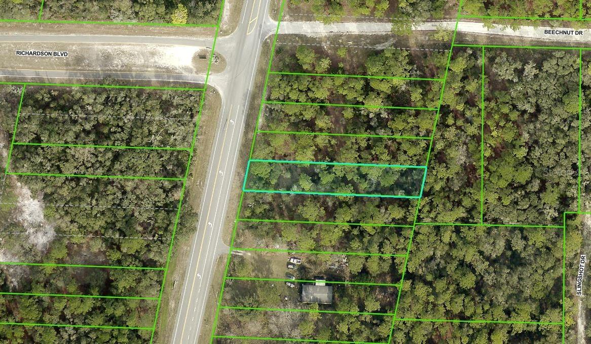 Treiman Blvd Lot 15, Webster, FL 33597