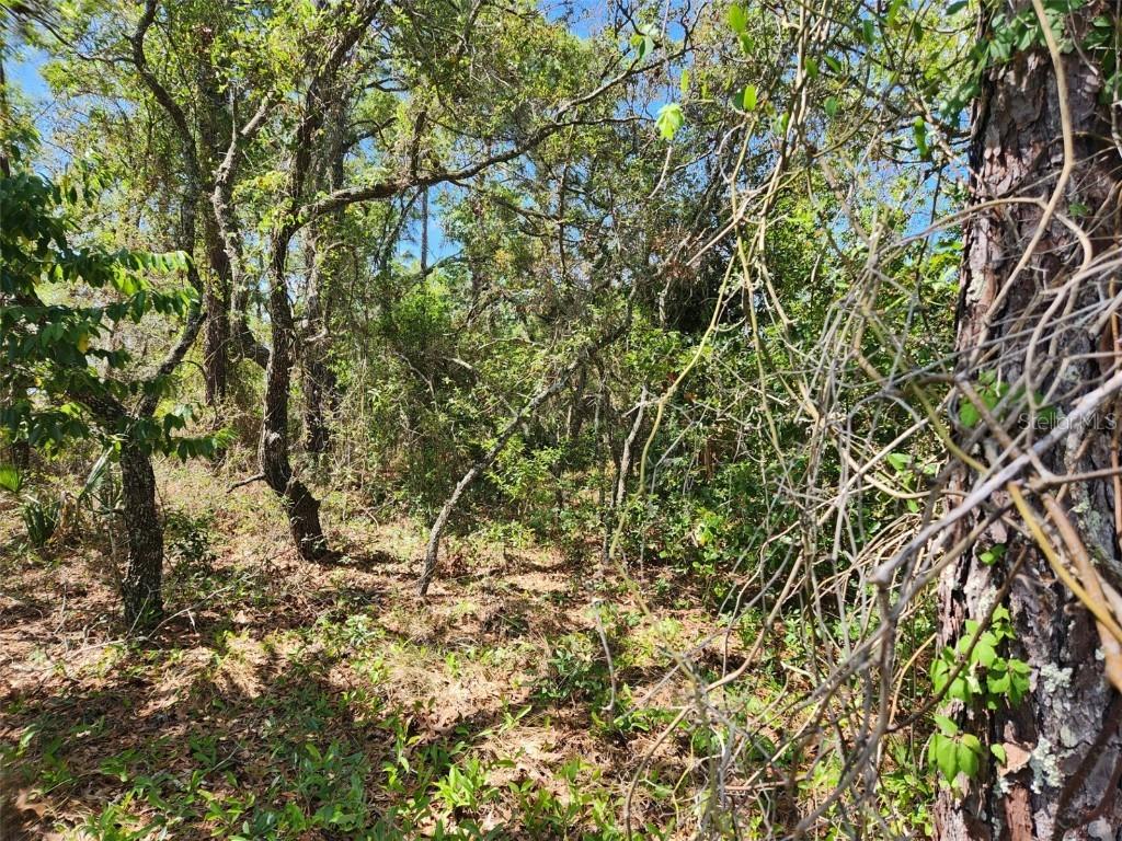Day Owl Ave. #Lot # 7, Weeki Wachee, FL 34613