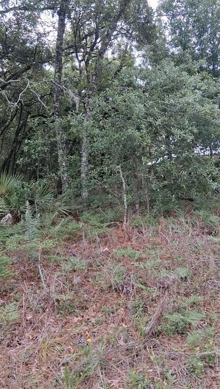 5887 / 5899 N Bedstrow Blvd., Dunnellon, FL 34434