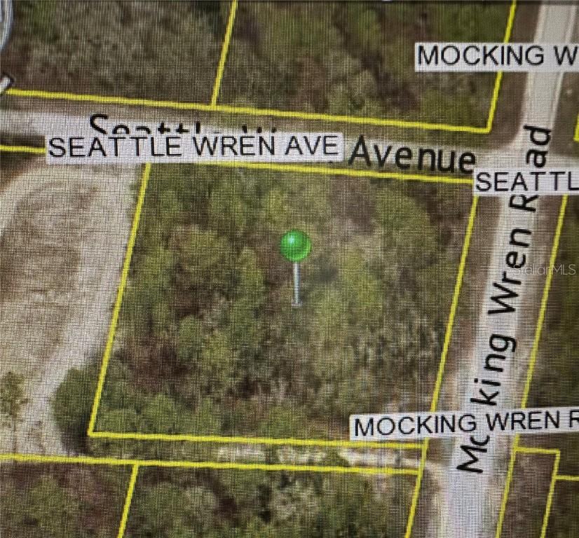 11288 Seattle Wren Ave., Weeki Wachee, FL 34614