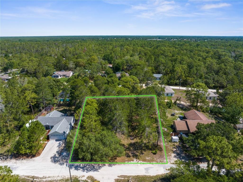 Carrie Way, Weeki Wachee, FL 34613