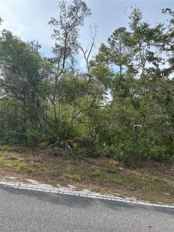 9412 Noddy Tern Rd., Weeki Wachee, FL 34613