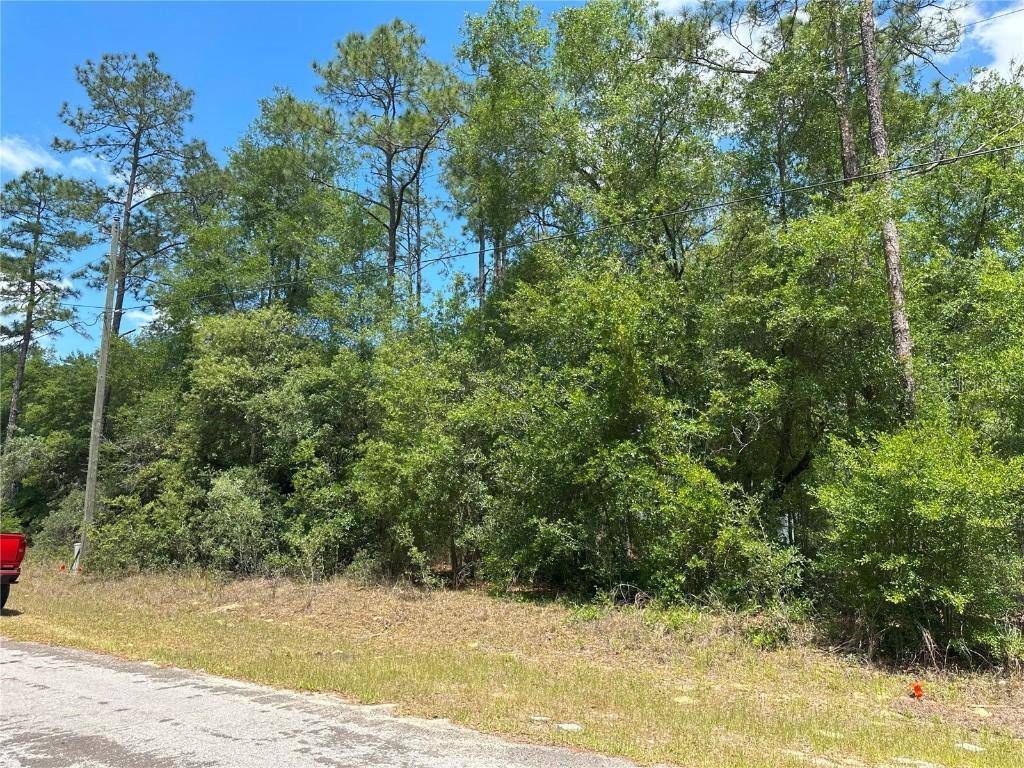 1571 W Alexander Dr., Citrus Springs, FL 34434