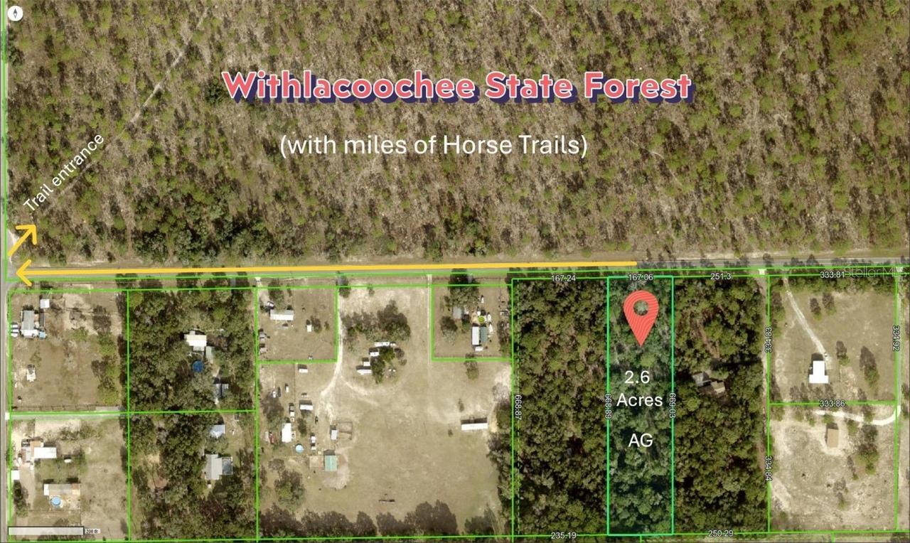 Wildlife Ln., Brooksville, FL 34602