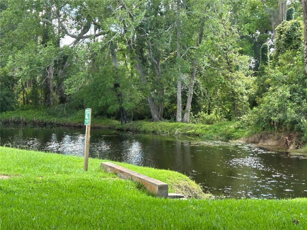 4903 Myrtle Oak Dr. #12, New Port Richey, FL 34653