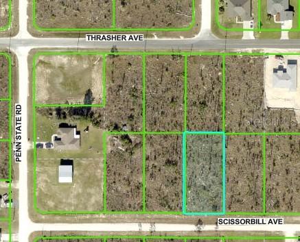 Scissorbill Ave., Brooksville, FL 34614