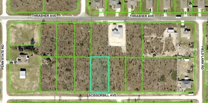 Scissorbill Ave., Brooksville, FL 34614