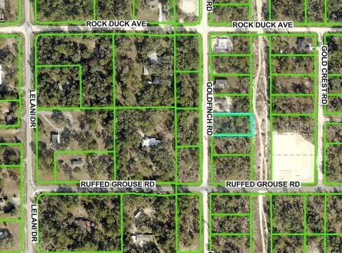 Goldfinch Rd., Brooksville, FL 34614