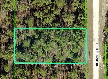 16433 Little Dove Rd., Weeki Wachee, FL 34614