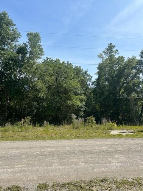 8284 W Catrina Ln., Crystal River, FL 34428