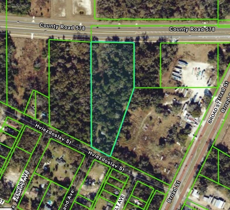 16407 Hviezdoslav St., Brooksville, FL 34604