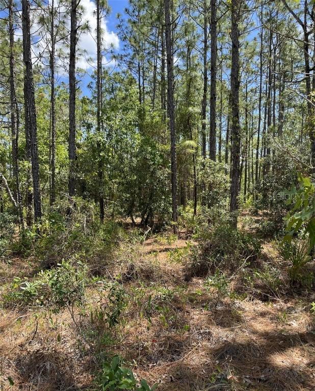 00 Pomp {lot7003} Pkwy., Weeki Wachee, FL 34614