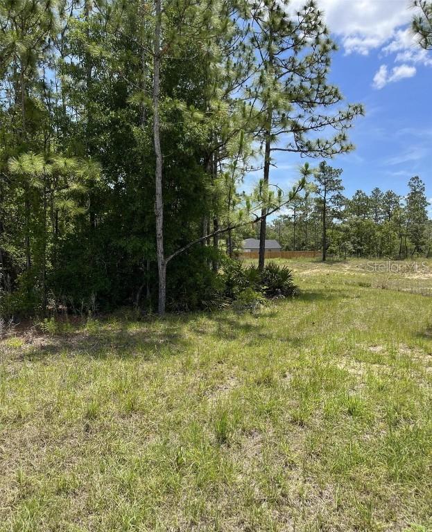 Celeste {lot6} Ave., Weeki Wachee, FL 34614