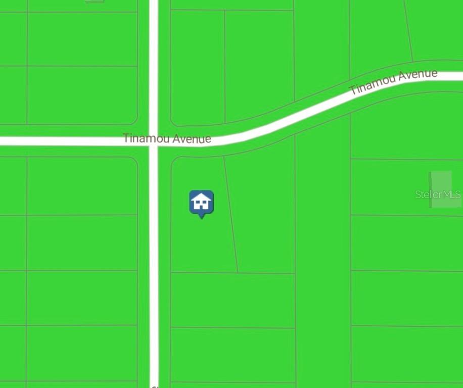 16338 Scaup Duck Ave., Weeki Wachee, FL 34614