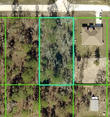 13358 Velvet Scoter Ave., Brooksville, FL 34614