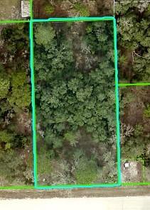 Mississippi Kite Ave., Brooksville, FL 34614