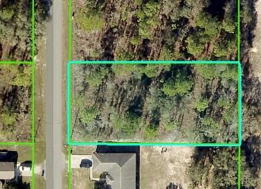 15234 Pomp Pkwy., Weeki Wachee, FL 34614