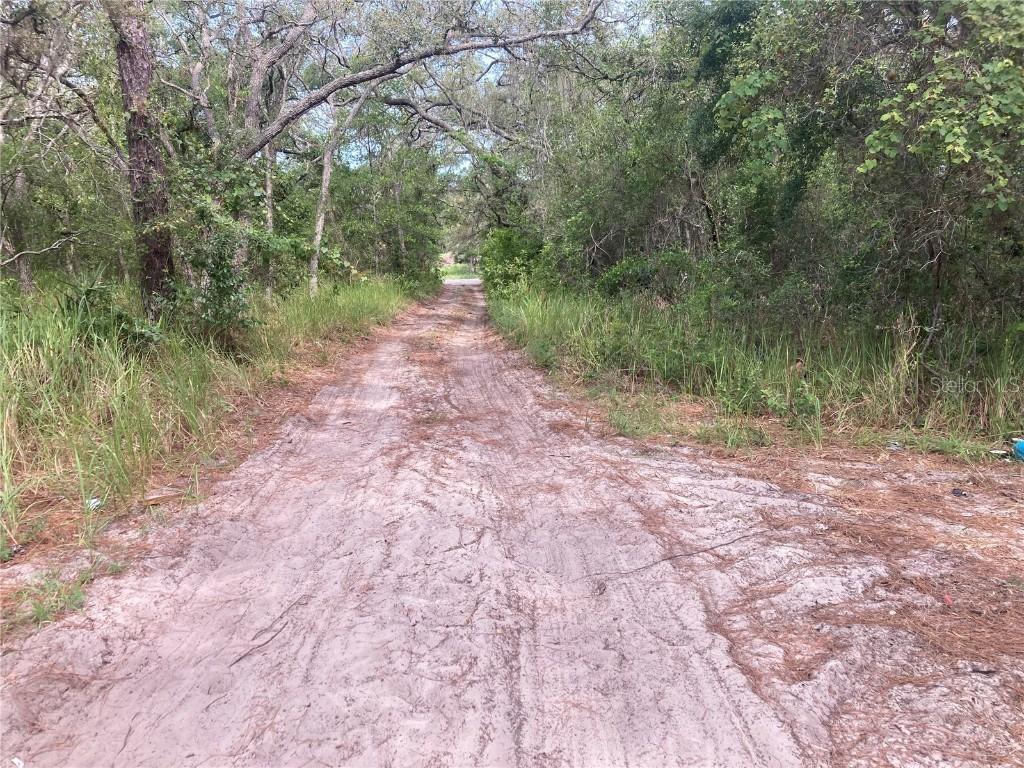 12643 Placid Rd., Hudson, FL 34667