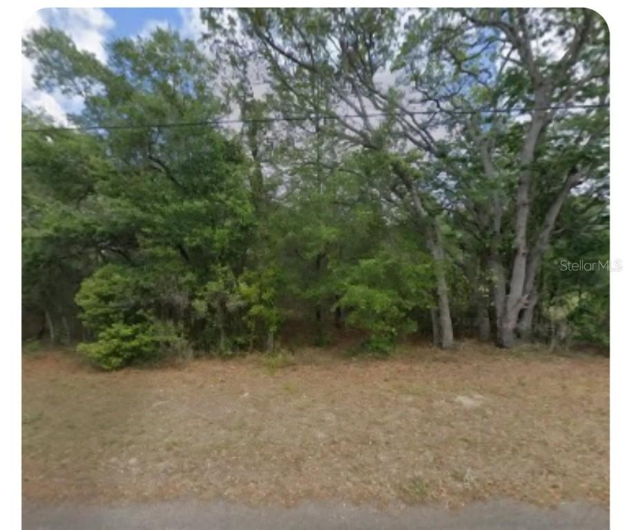 609 N Brighton Rd., Lecanto, FL 34461