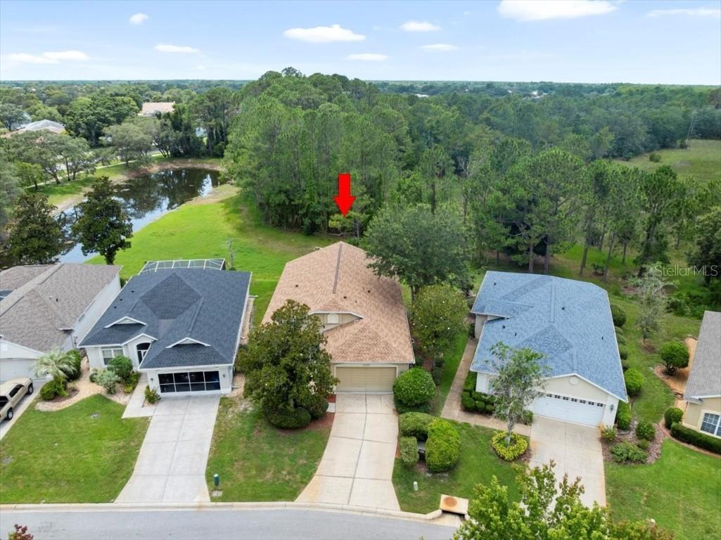 10097 Holly Berry Dr., Weeki Wachee, FL 34613