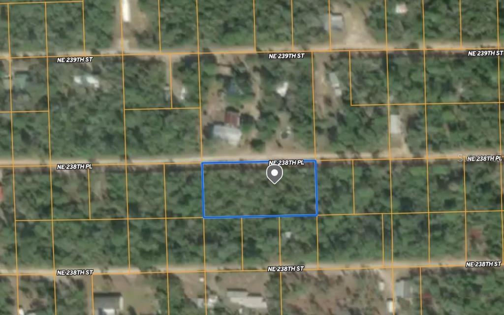 25 NE 238th Pl., Fort Mc Coy, FL 32134