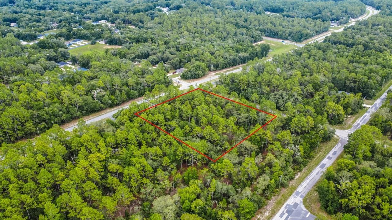 1287 W Evergreen Dr., Citrus Springs, FL 34434