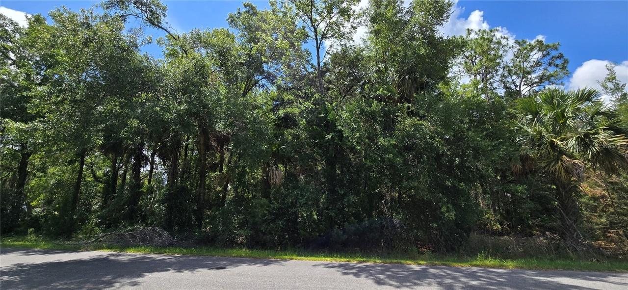 1939 S Melanie Dr., Homosassa, FL 34448