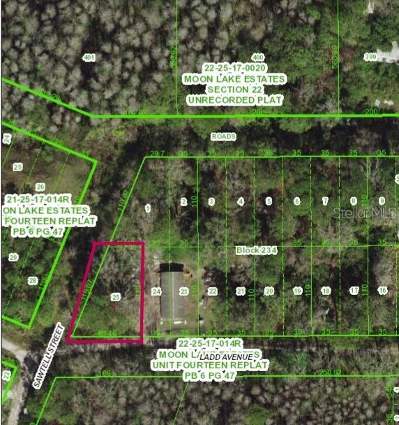 Ladd Avenue, New Port Richey, FL 34654